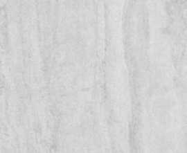Керамогранит Dignity Light Grey Matt 119,7x119,7
