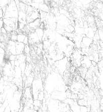 Керамогранит Lounge Stone White Pol STR 119,8x274,8