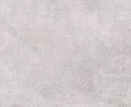 Керамогранит Diosa Light grey 59,7x119,7