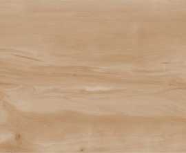 Керамогранит Paint Wood  (Realistik, Индия)
