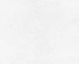 Керамогранит Betonica Blanco PRO светло-серый матовый 80x160