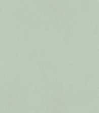 Плитка True Color Matcha 50x120