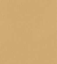 Плитка True Color Caramel 50x120
