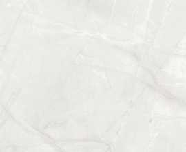 Керамогранит Timeless Pearl светло-серый матовый карвинг 59,5x59,5