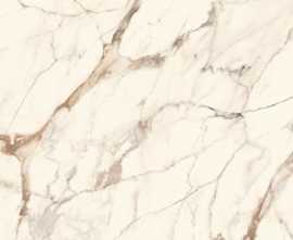 Керамогранит Calacatta Gold Silk 120x120