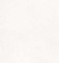 Керамогранит Delishn White 60x120