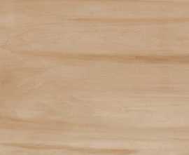 Керамогранит Paint Wood Bone Matt 60x120