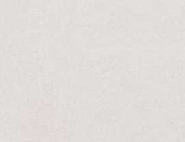 Плитка Sisley Crema 59x120