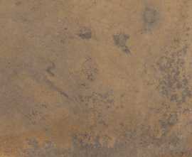 Плитка Reef Ocher rect 60x60