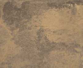 Плитка Reef Ocher Honed rect 60x120