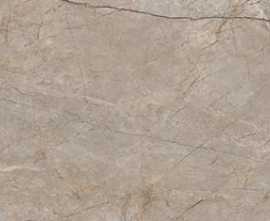 Керамогранит Silver Roots серый 60x120
