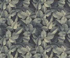 Керамогранит Foliage 60x120