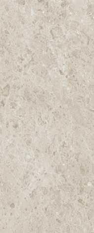 Керамогранит Rare Pietra Di Gre DNA 5 120x300