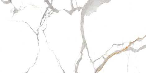 Керамогранит Lioz Statuario Polished 60x120