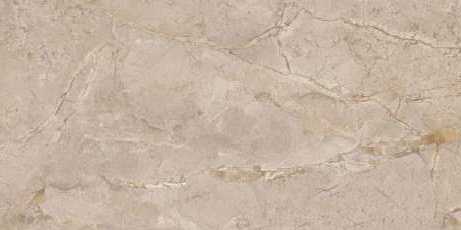 Керамогранит Fenso Rivera camel 60x120