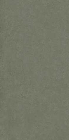 Керамогранит Intero Olive Rect mat 59,8x119,8