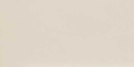 Керамогранит Intero bianco Rect mat 29,8x59,8