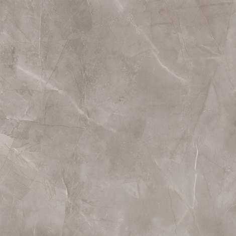 Керамогранит Harmonic grey POL 79,8x79,8