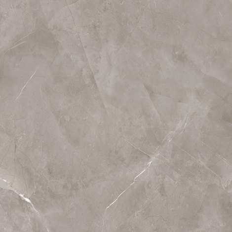 Керамогранит Harmonic grey POL 119,8x119,8