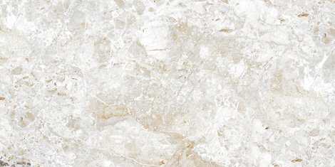 Керамогранит Breccia Natural gloss 60x120