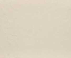 Керамогранит Riverstone White matt 60x120
