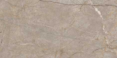 Керамогранит Silver Roots серый 60x120