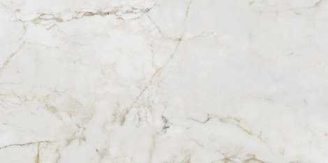 Керамогранит Shellstone white POL 59,8x119,8
