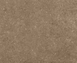 Керамогранит Аркаим G214 Коричневый матовый 60x120