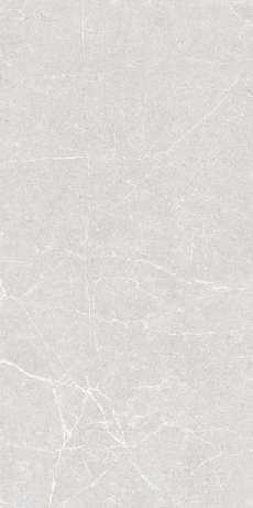 Керамогранит Markstone Silver StrongX Matt 59,8x119,8