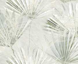 Керамогранит Blomex Decor Green Mist Glossy 60x120
