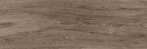 Керамогранит Baikal brown PG 02 20x60