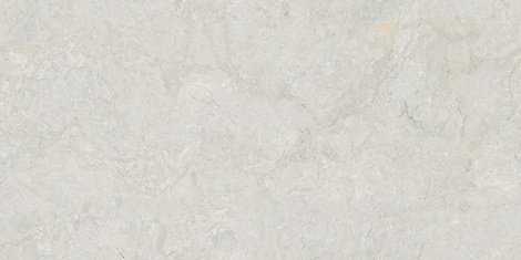 Керамогранит Infinity Venon Dove Endless Carving 80x160