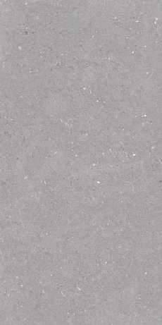 Керамогранит Fossil Grey StrongX Matt 59,8x119,8