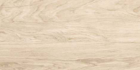 Керамогранит Brentwood 30x60 GFA3060BWD04R