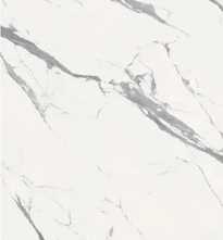 Керамогранит Infinito 2.0 Statuario Extra Matt 60x120