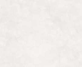 Керамогранит Stucco Bianco PRO белый матовый 59,5x119,1