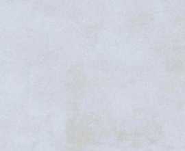 Керамогранит Royalish Bianco Carving 60x120