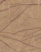 Керамогранит The Rock FOGOLD6 12 RM 60x120