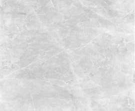 Керамогранит Alta Light Grey 59,7x59,7