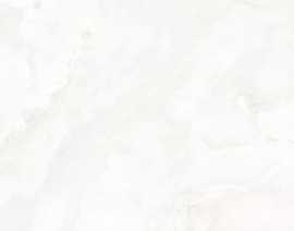 Керамогранит Oni White Matt 120x280
