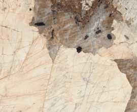 Керамогранит Sunhearrt Ceramic Patagonia Bronze High Gloss 120x180