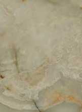 Керамогранит Allmarble Onice Giada Lux rett 60x120