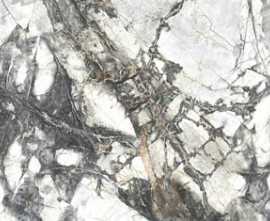 Керамогранит Project Antibacterial Invisible Solid Levigato 60x120