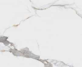 Керамогранит Project Antibacterial Calacatta Macchia Vecchia Levigato 60x120