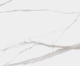Керамогранит Project Antibacterial Calacatta Levigato 60x120