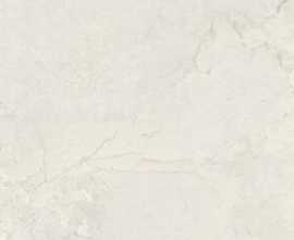 Плитка Alloy Pearl matt rect 60x120