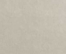 Плитка Bloom Grey 80x160