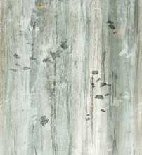 Декор Color Mood Green Trees 120x278