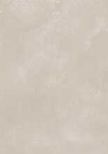Плитка Botany Concrete Grey mat 29,8x89,8