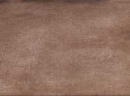 Плитка Treviso Rosso 10x20